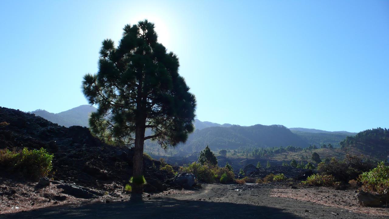 埃尔帕索Casas Rurales Los Pajeros别墅 外观 照片